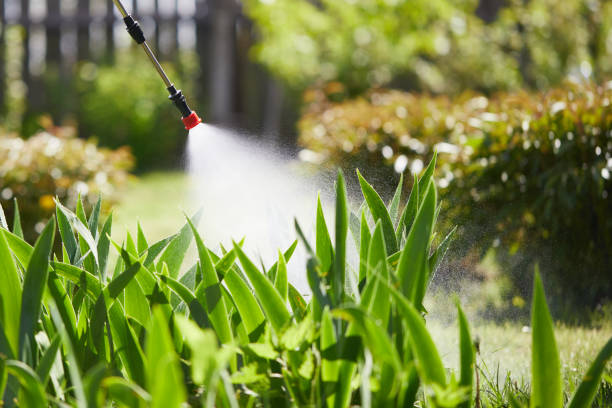 24/7 Emergency Wasp Removal experts in Fairmont, NC