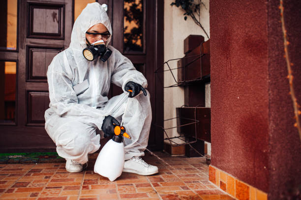 Reliable Wasp Removal contractor in Fairmont, NC by Show Me Pest Control