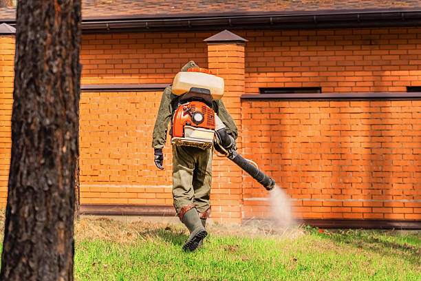 Top rated local Wasp Removal specialists in Fairmont, NC